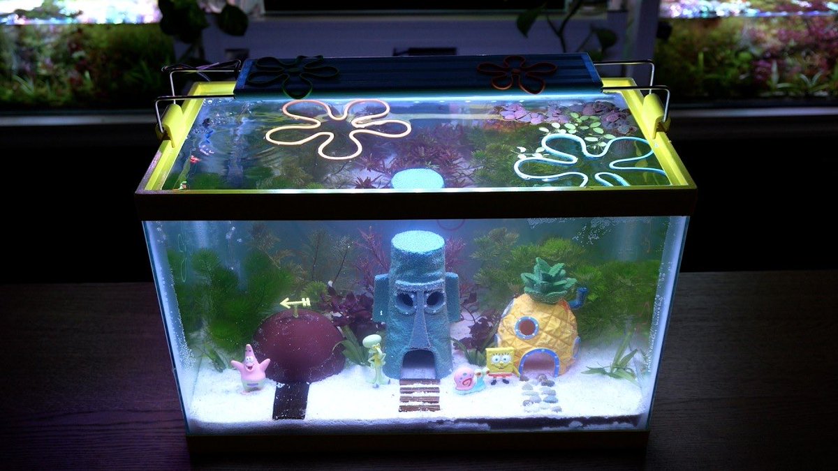 DiverseStyle tweet media