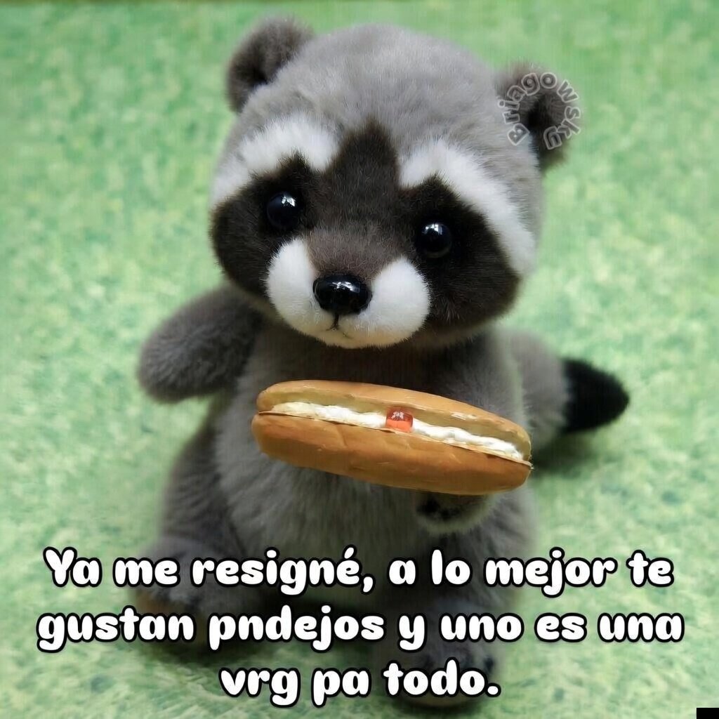 Cap Briagowsky tweet media