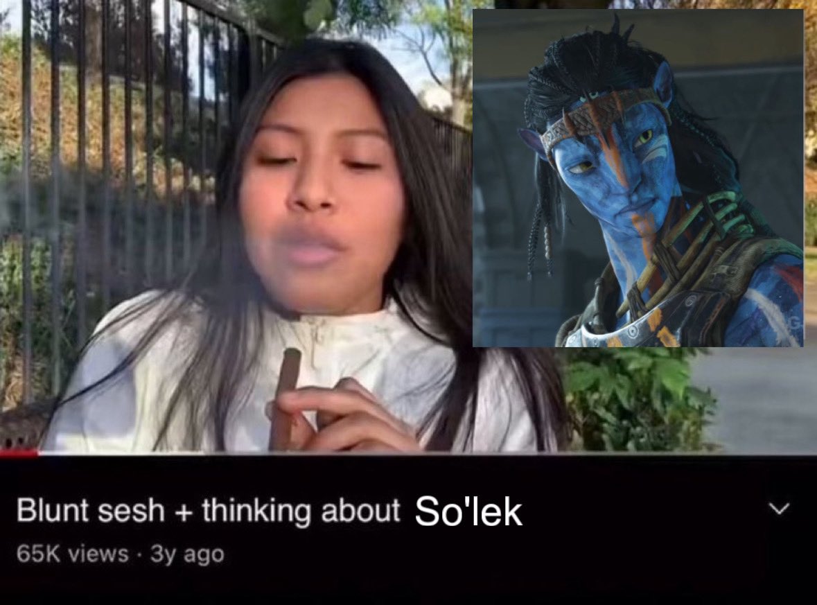 iris 🌙 tweet media