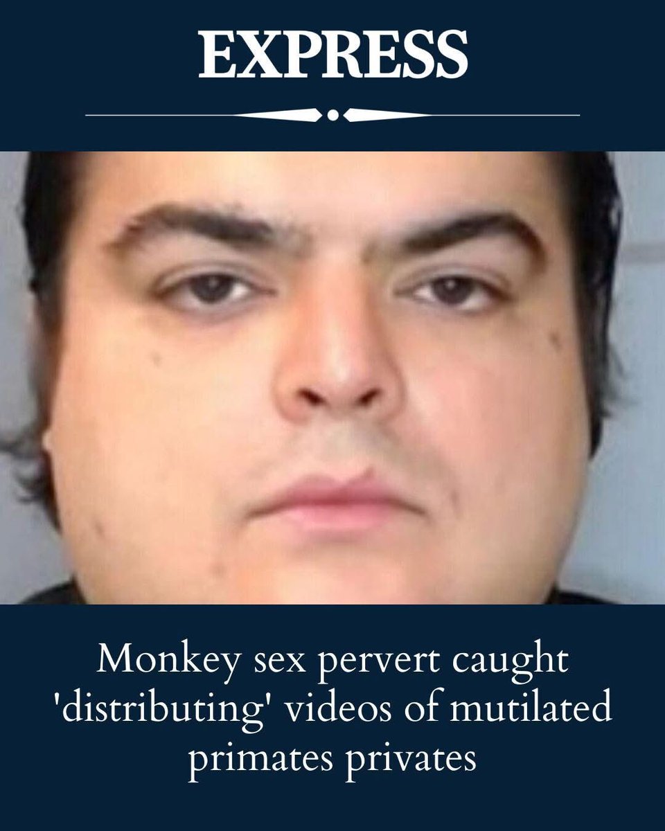 dominic dyer tweet media