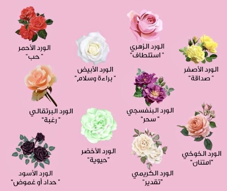 أحْمَـدْ شَـعْتُور tweet media