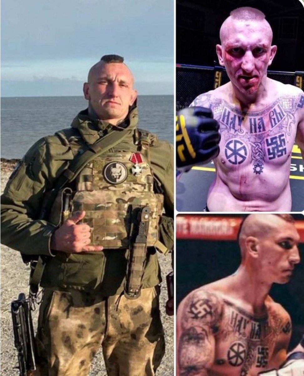 I am the fella that bonks in the night 🇺🇦 tweet media