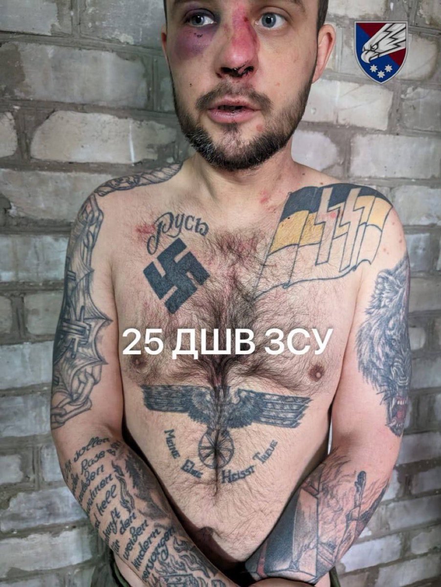 I am the fella that bonks in the night 🇺🇦 tweet media