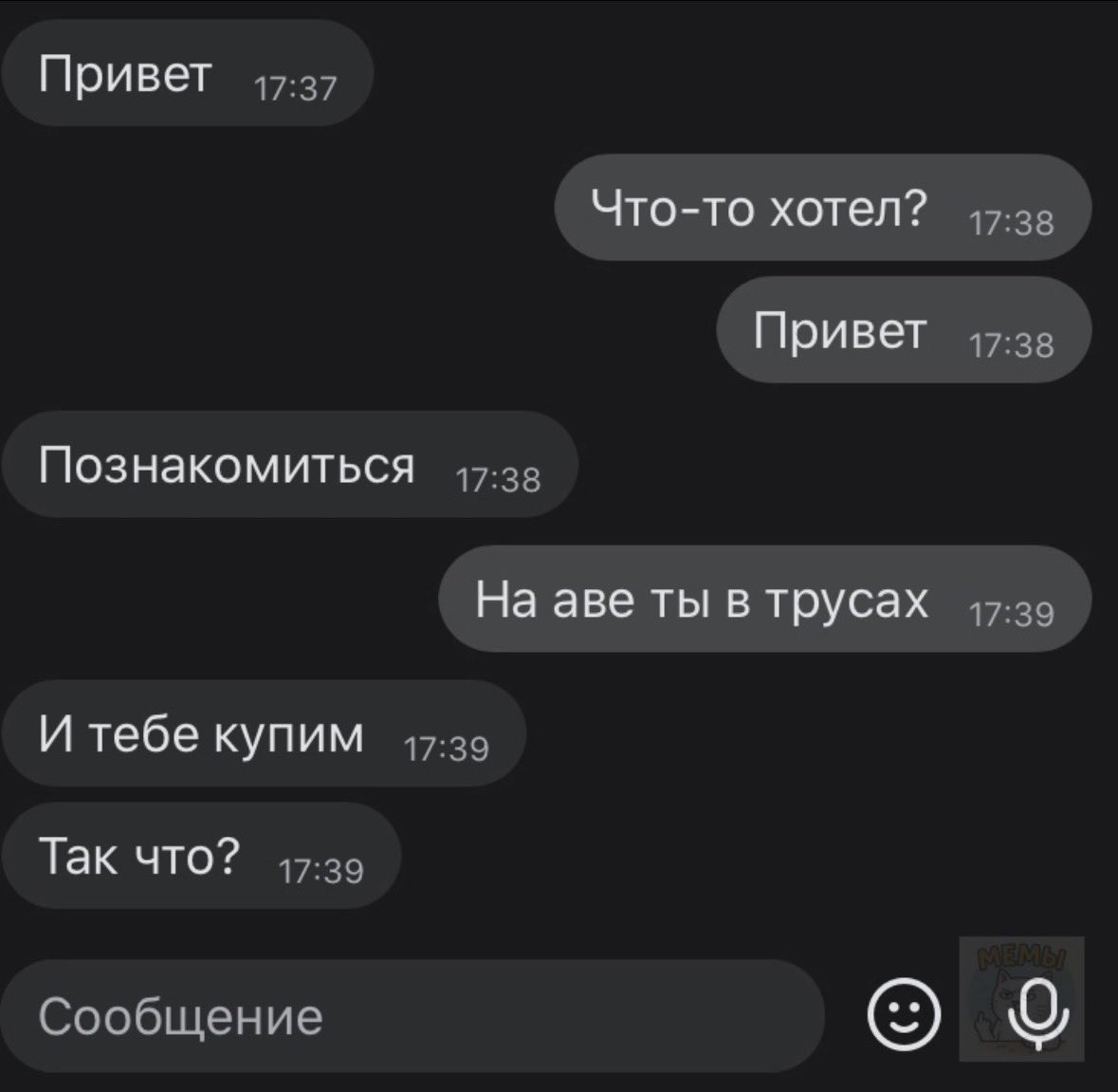 Попонька с приключениями tweet media