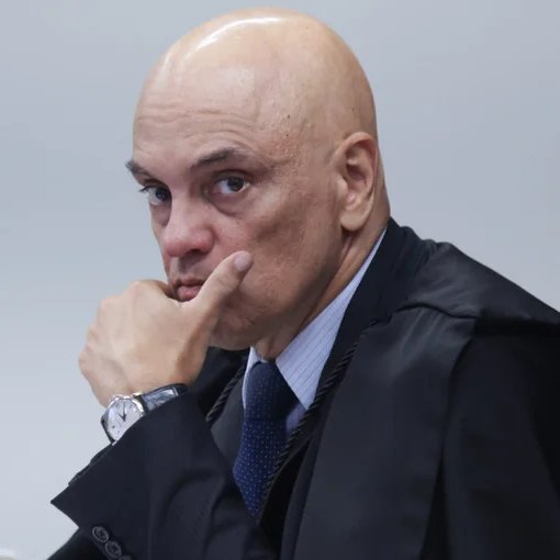 Fernanda Salles tweet media