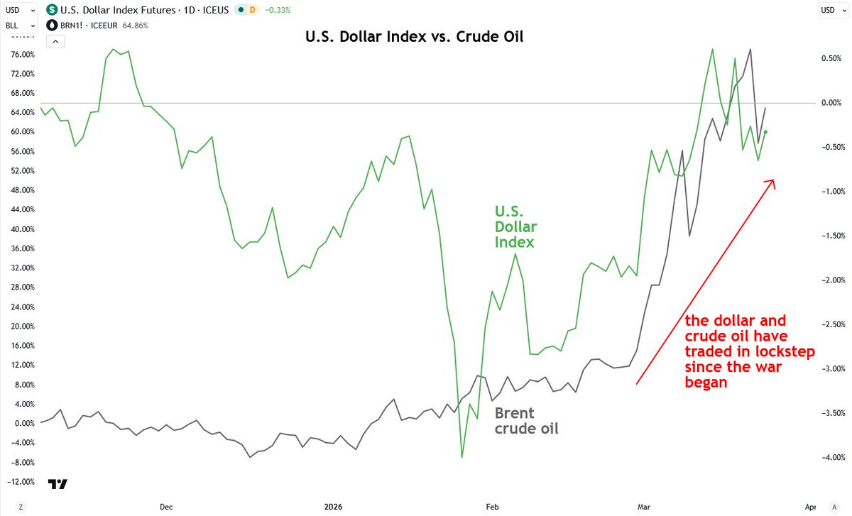 Jesse Colombo tweet media