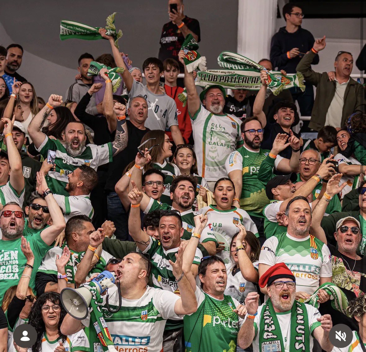 ClubPatíCalafell tweet media