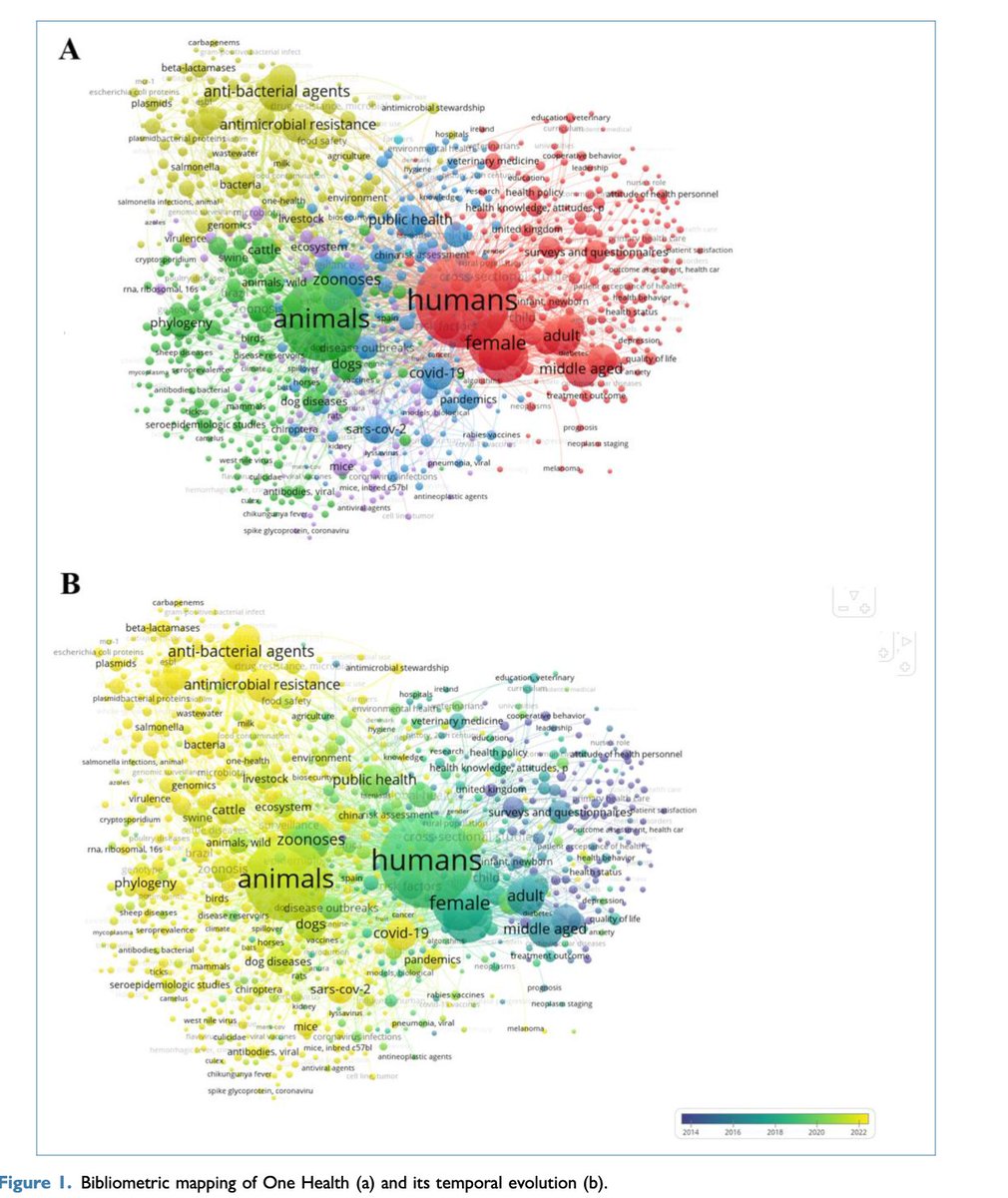 Africa-Canada AI & Data Innovation Consortium tweet media