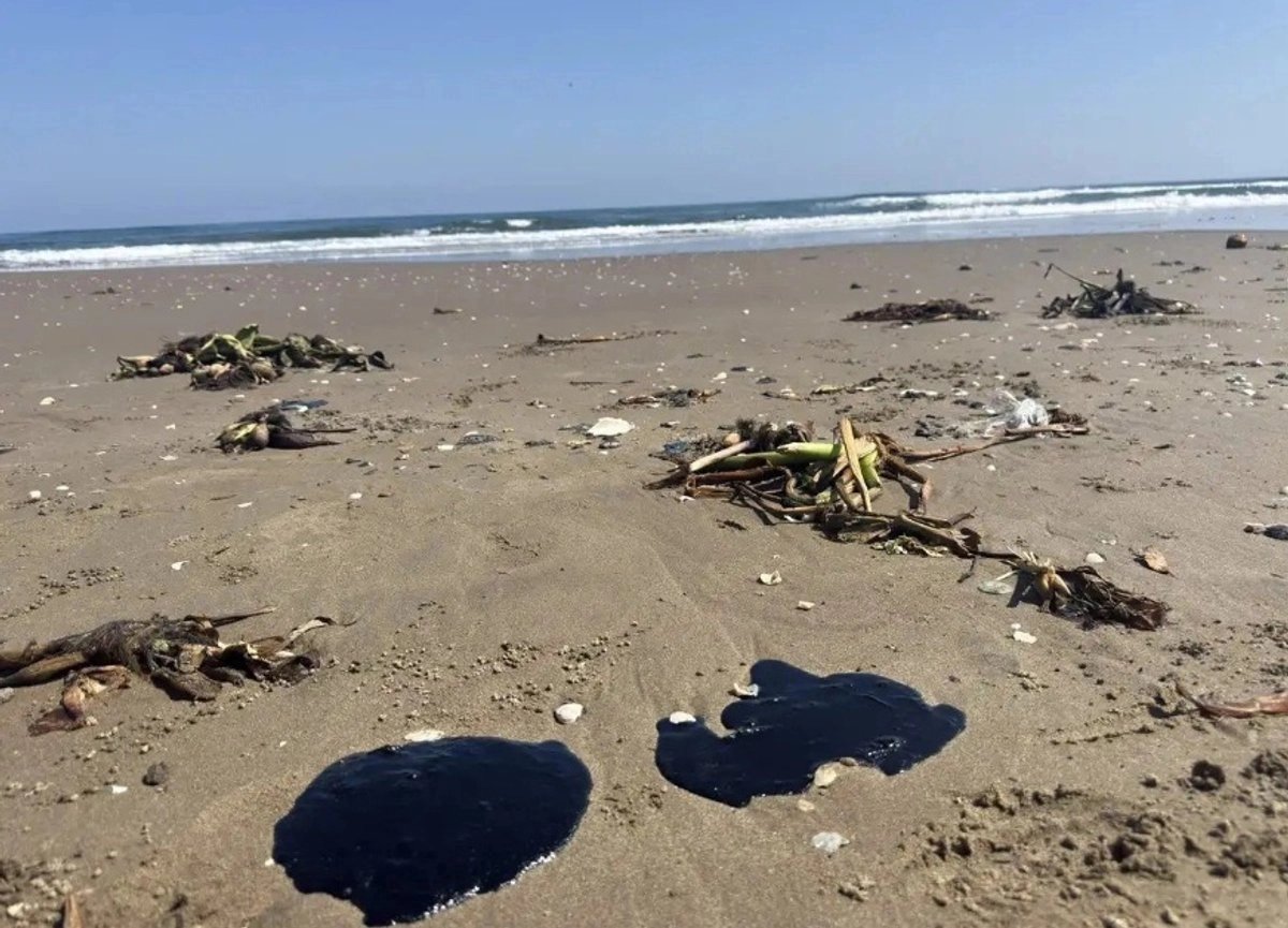 Playa Riviera tweet media