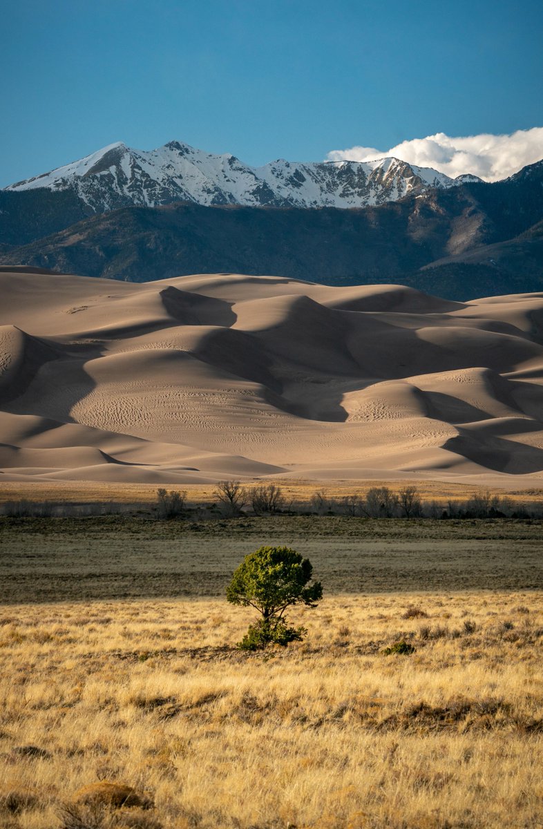 TravelDolce's tweet photo. Americaโs tallest sand dunes beneath snowy peaks.
#GreatSandDunes #Colorado https://t.co/7Cxvxr1IXi