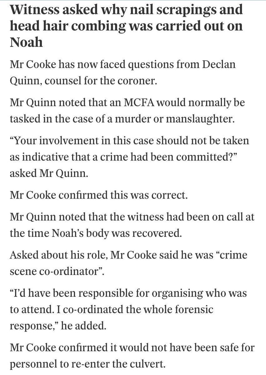 ManusSinéad tweet media