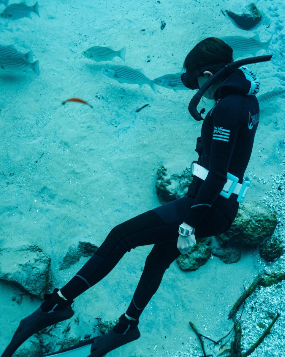 Freestyle Watches tweet media