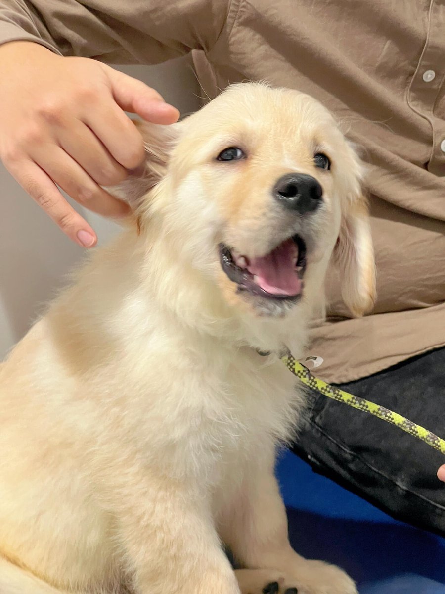 David Ruiz Cadavid tweet media