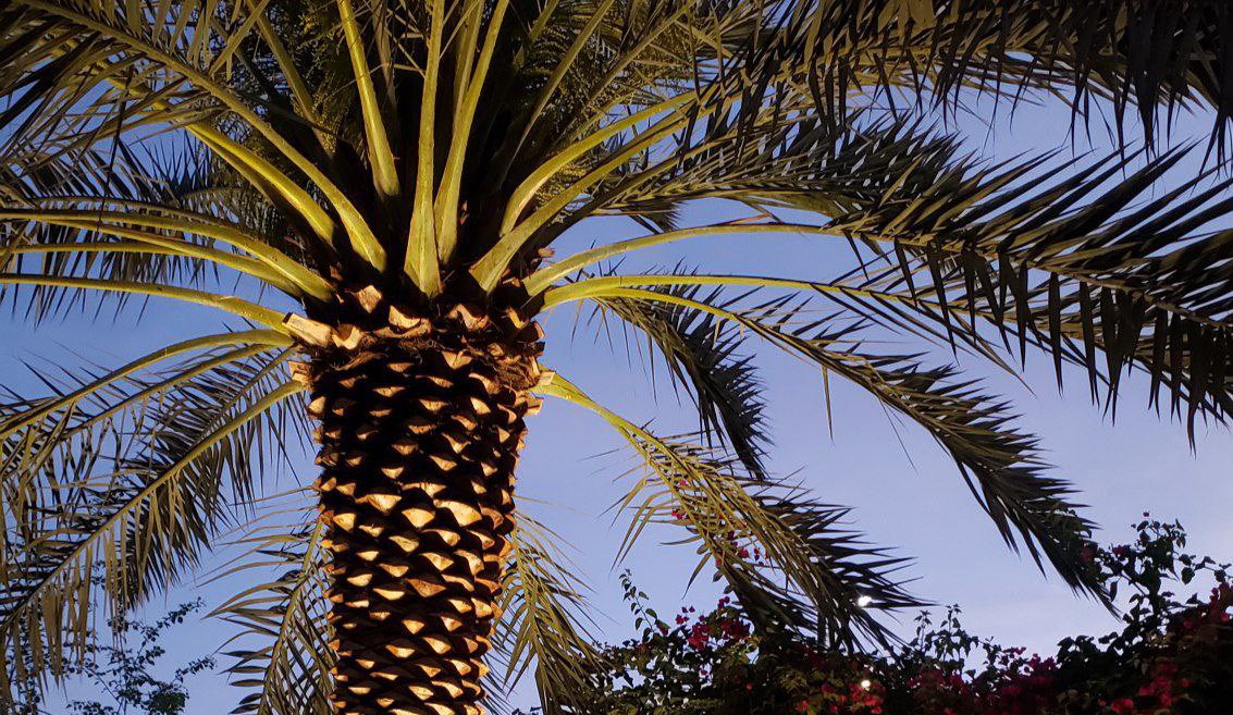 نـِبـض ✗ tweet media