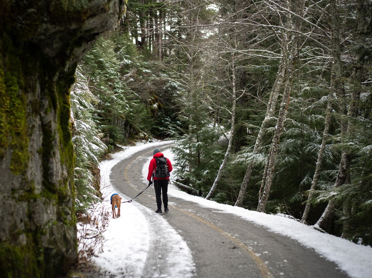 Trans Canada Trail 🇨🇦 tweet media