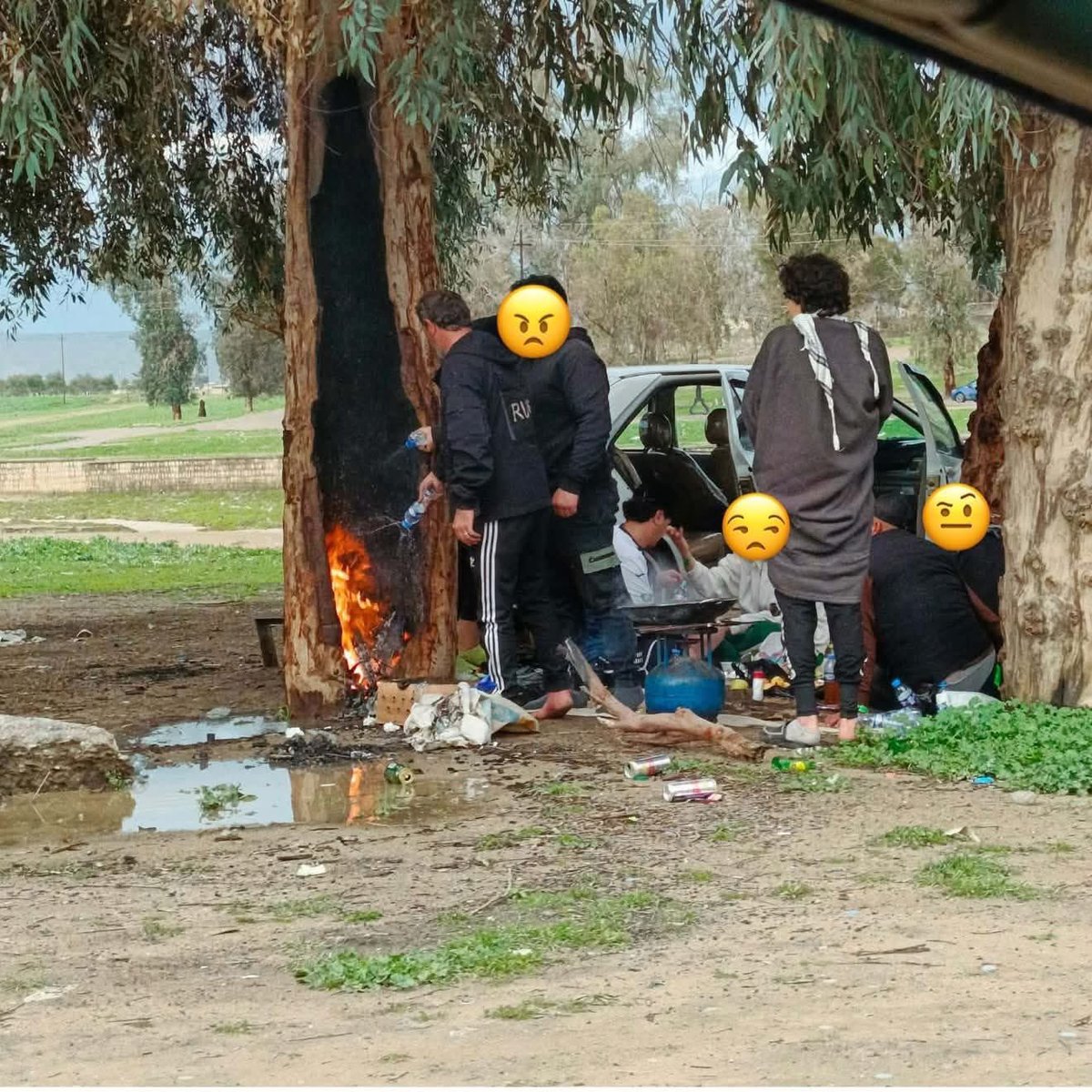 سومرية tweet media