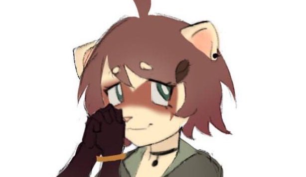 k2🦦🐾 tweet media