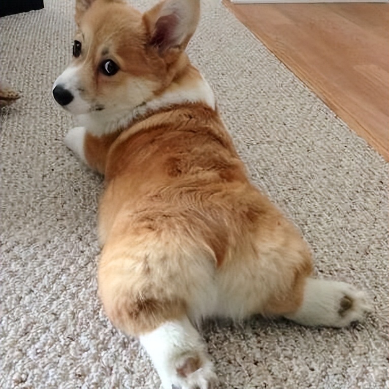 Matt Hill tweet media