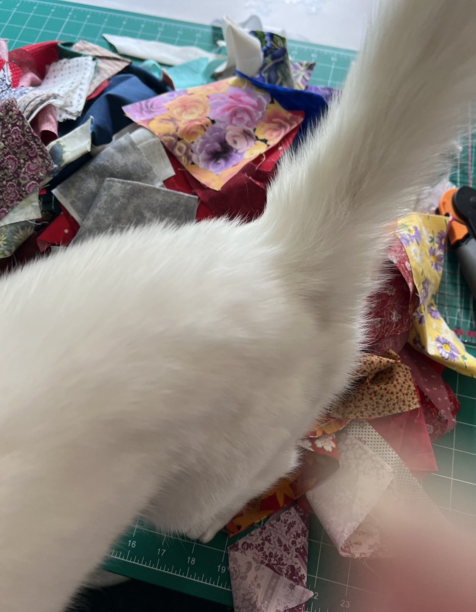 Tiny Prepper tweet media