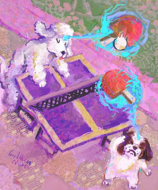 Guilherme Nunes tweet media