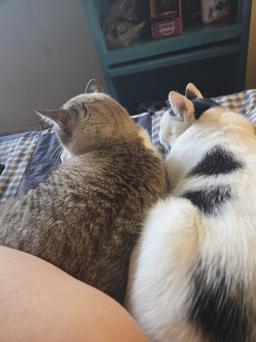 💚 Ashleyyyyy 💚 tweet media