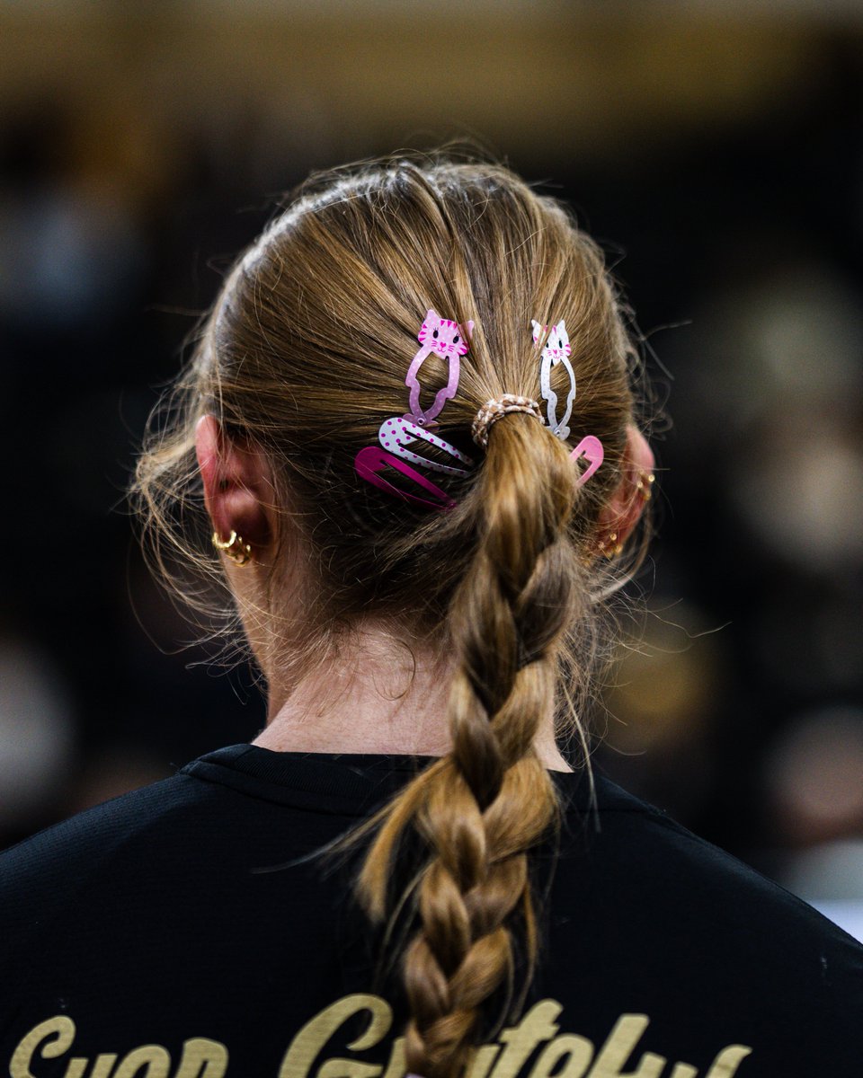 Purdue Volleyball tweet media