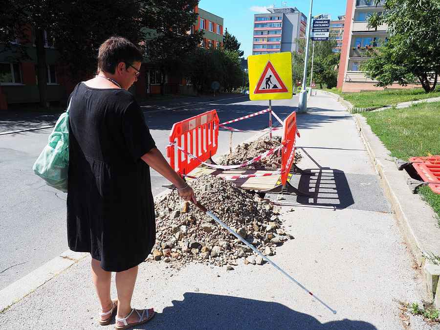 Marie Zemanová tweet media