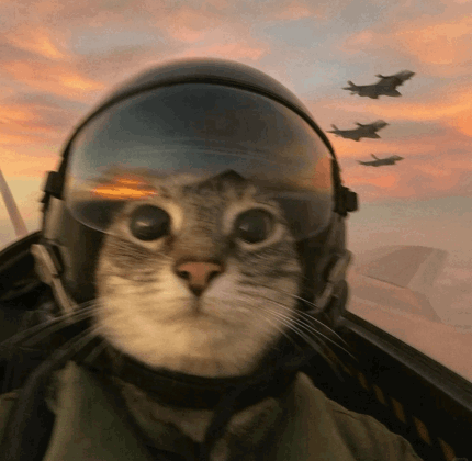 julia | i made roseal tweet media