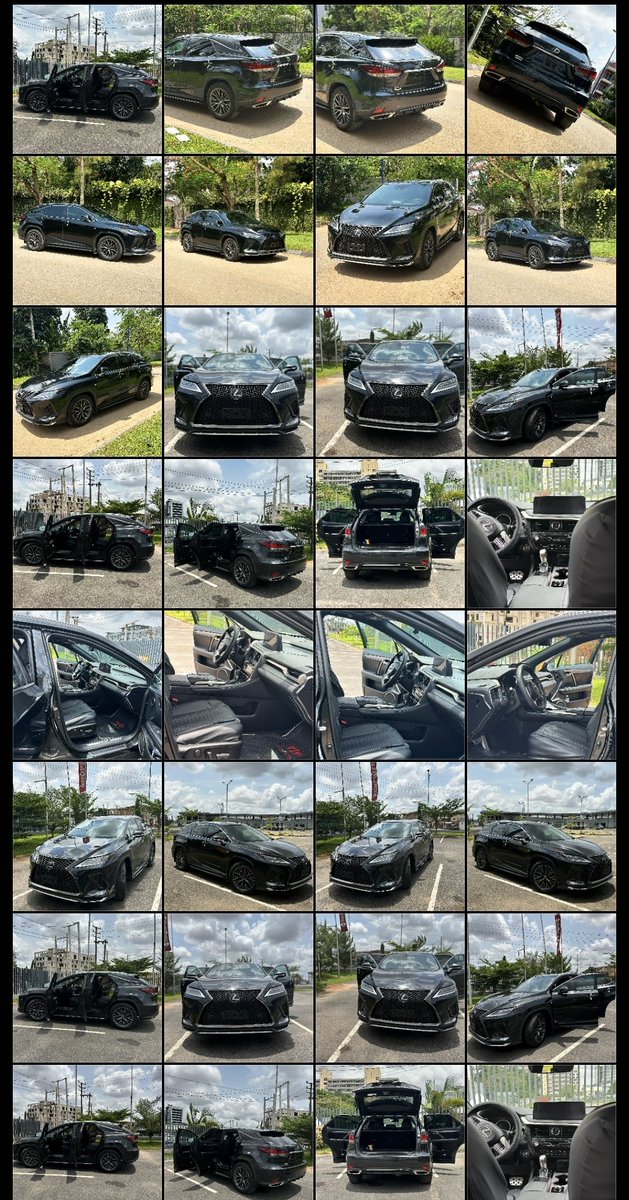 Lex 🔌📈 tweet media