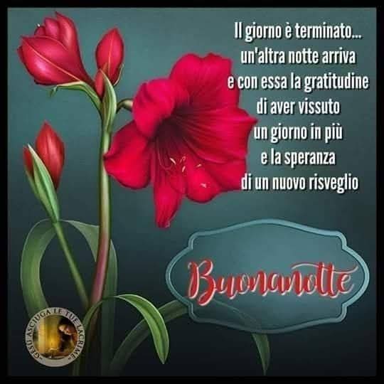 Maurizio Castellini tweet media