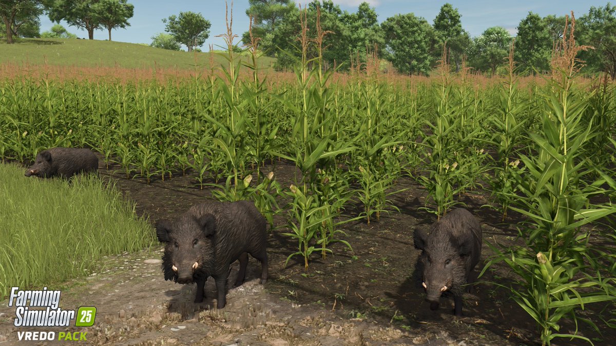 Gamesplanet tweet media