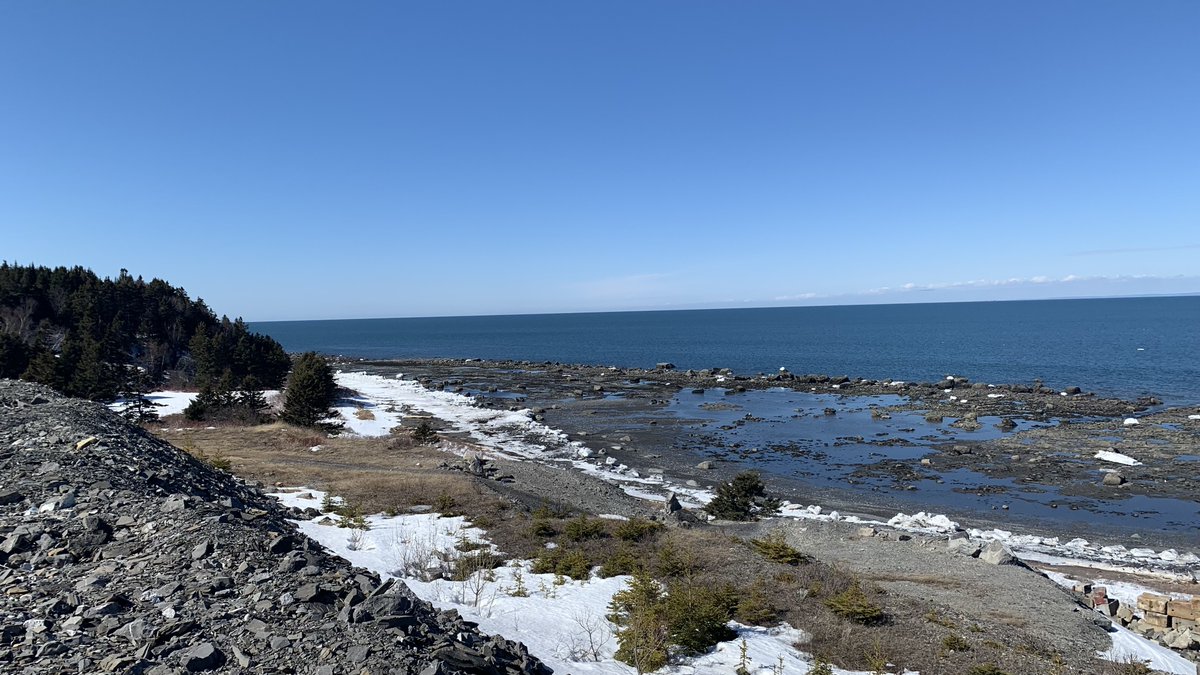 Absol🐾 tweet media