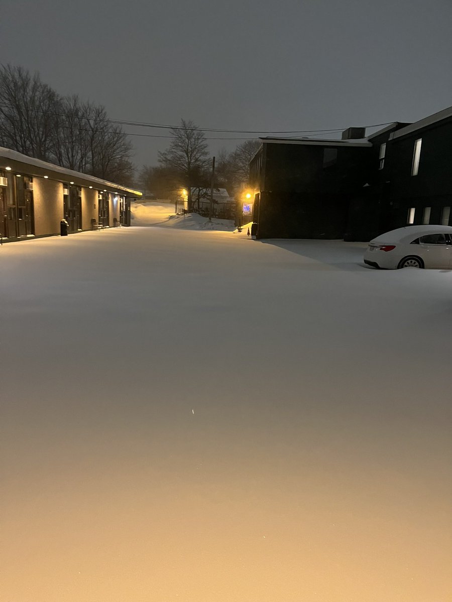 Debbie Stuckless 🇨🇦🫐 tweet media