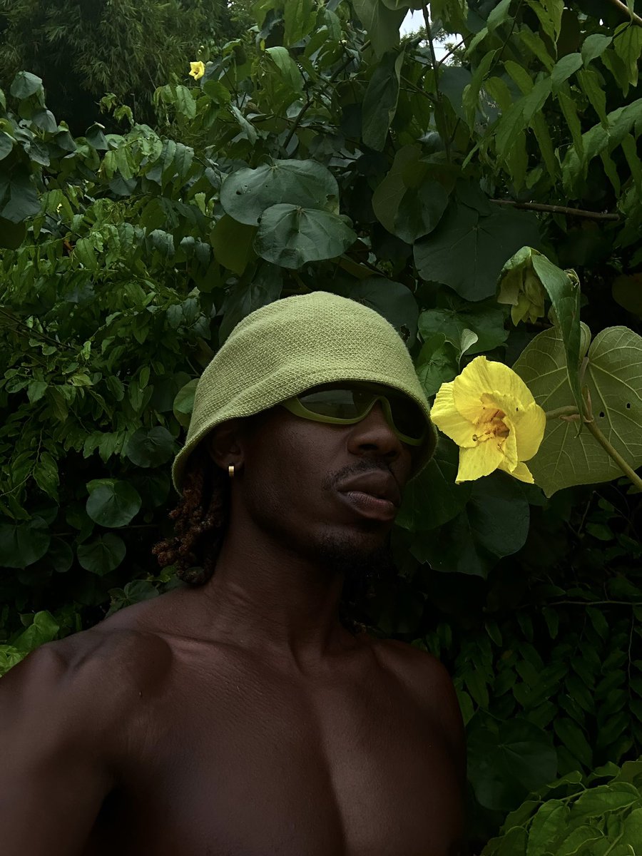 lion heart tweet media