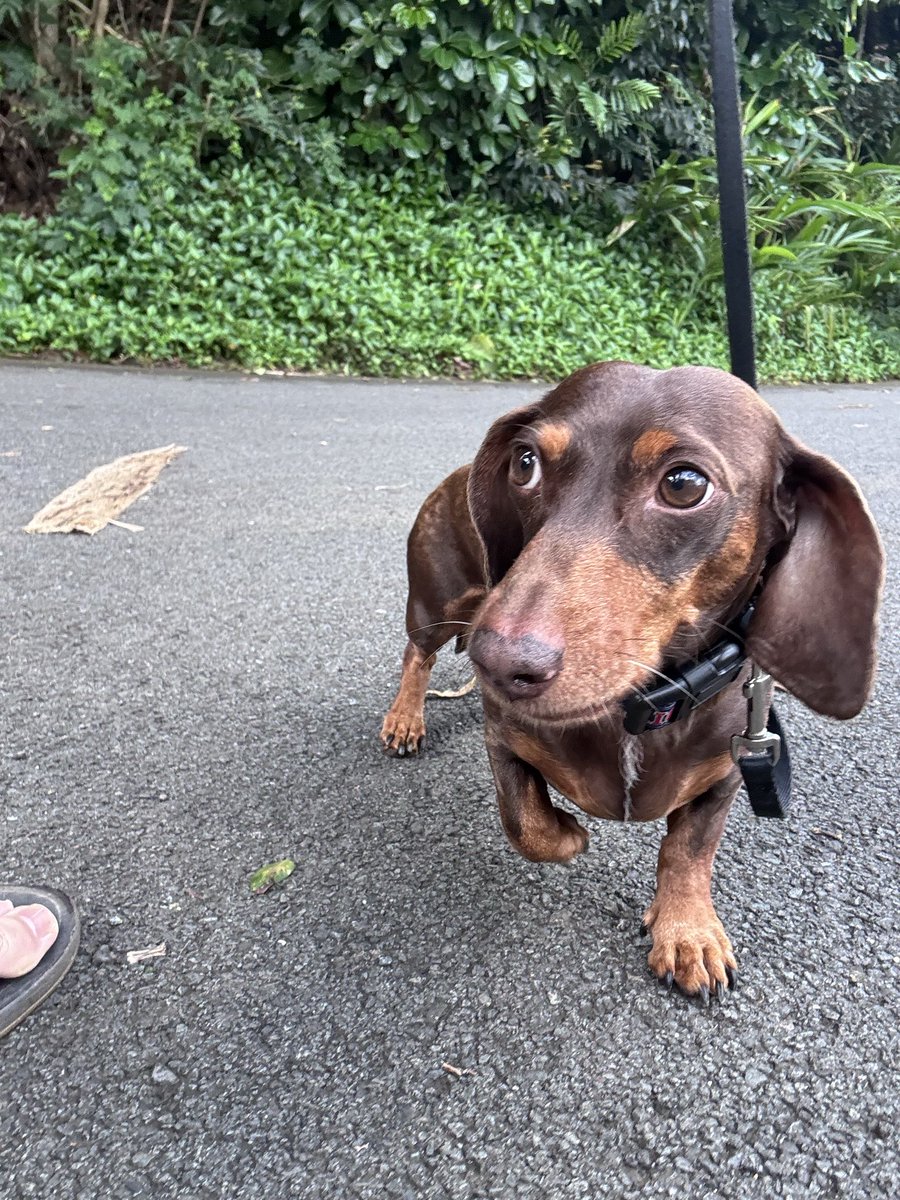 Chris Mooney tweet media