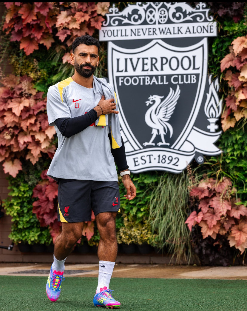 Maryandedbee 💙💙 tweet media