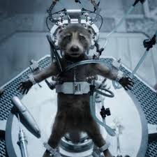 Pochi⛓️🪚🧡 tweet media