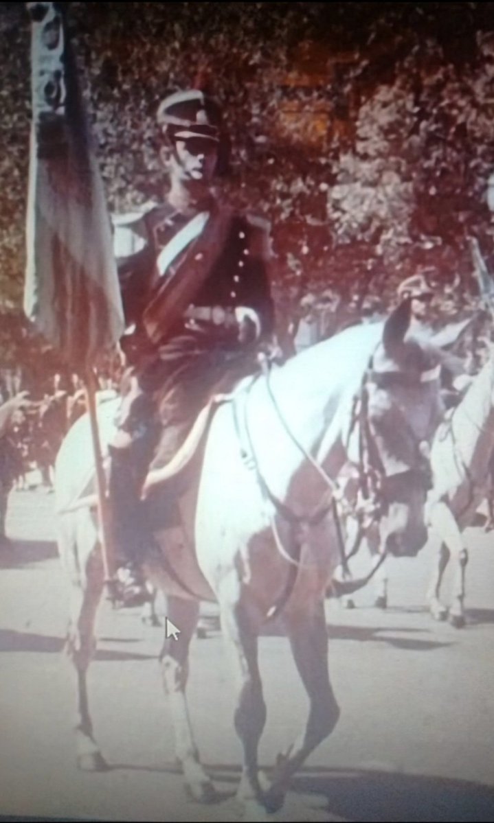 Ale Chiara💛 tweet media