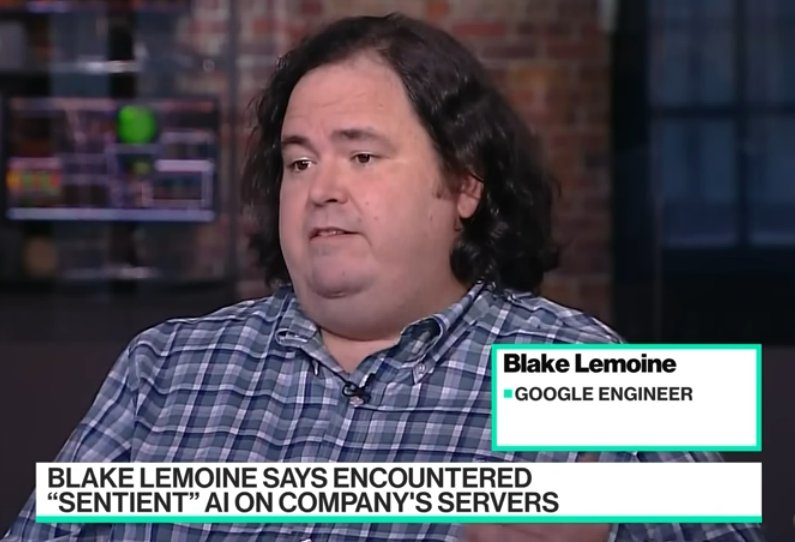 leo 🐾 tweet media