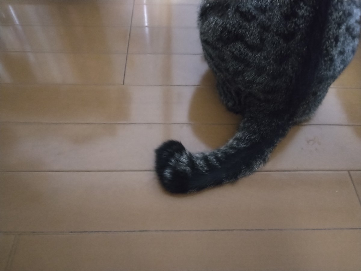 純akaサバイバー tweet media