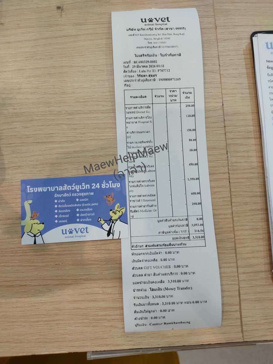 ไม่ควรมีแมวตัวไหนบนโลกใบนี้ต้องมาเป็นแมวจร tweet media