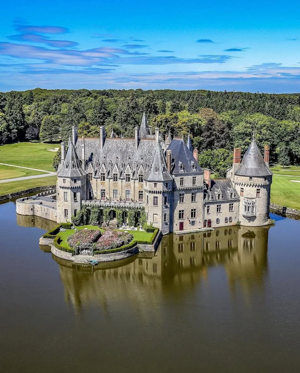 CityVibesX tweet media