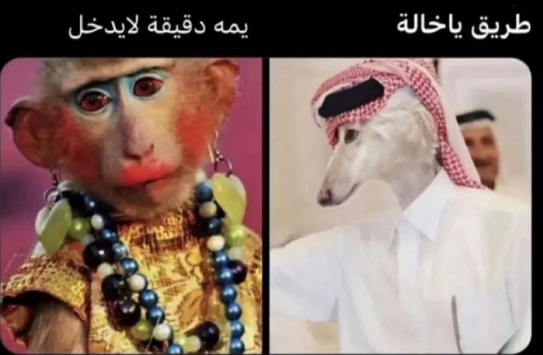 ابوزيد🔸فخر العرب tweet media