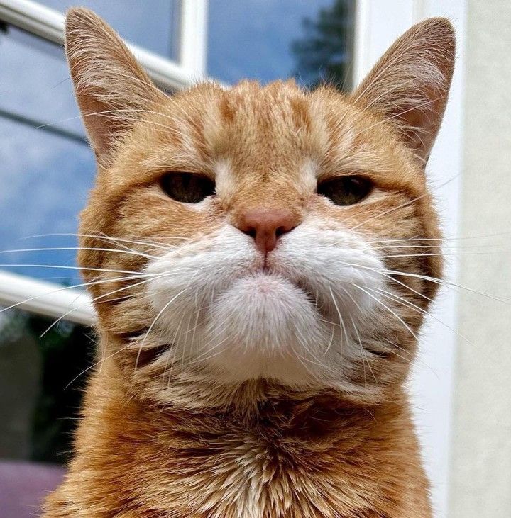 Vαȥ ཐི༏ཋྀ tweet media