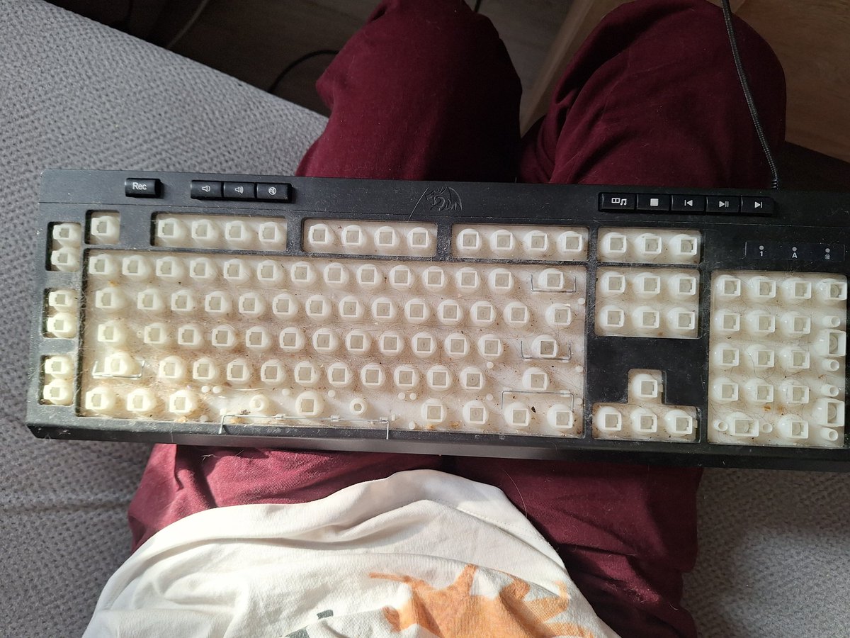 тuбeтcкuй лucёнoк tweet media