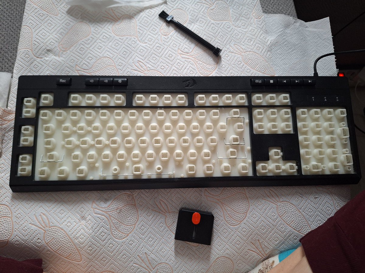 тuбeтcкuй лucёнoк tweet media