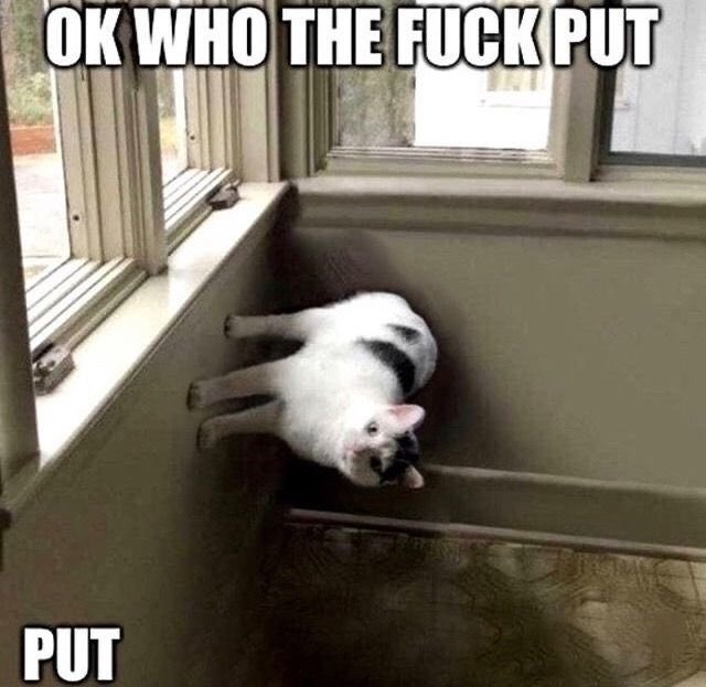 LexaCola™ tweet media