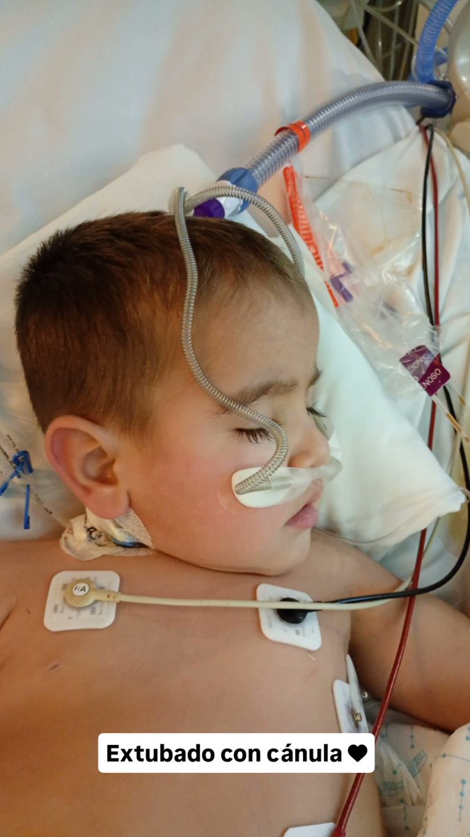 ▪ Marina Bidondo ▪ tweet media