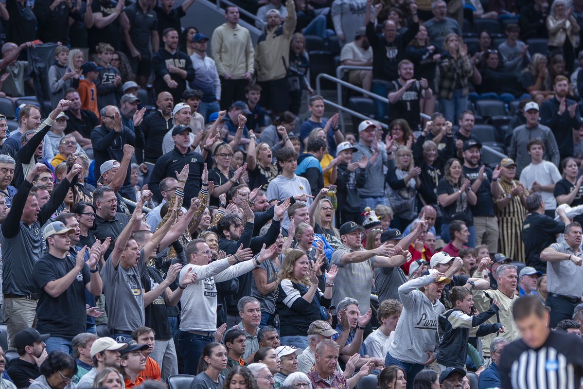 Krock Photography tweet media