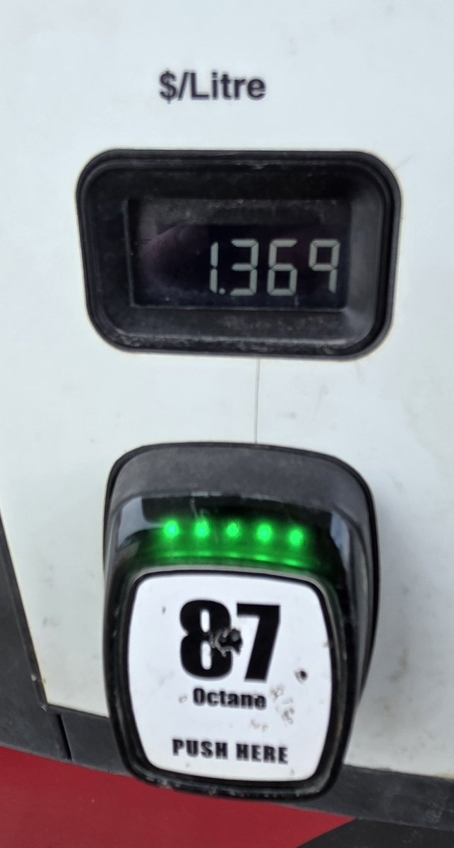 Dave 🍁 tweet media